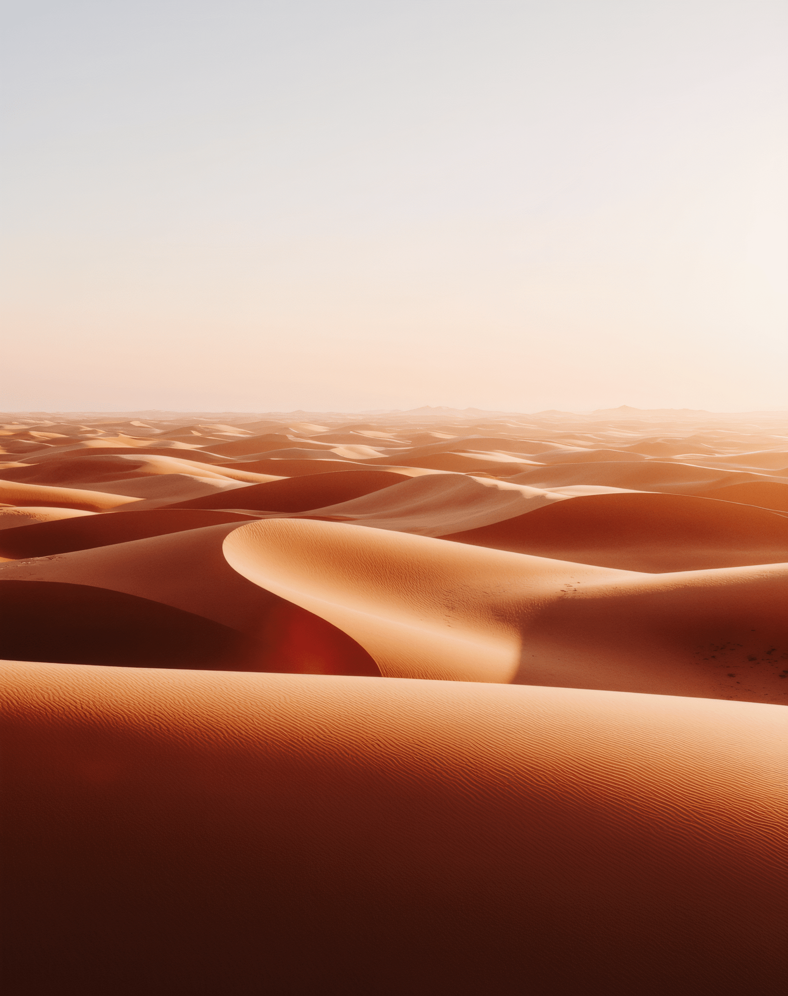 Rise & Shine – Dawn Landscape Poster Collection 7 Vast golden desert dunes under clear sky.